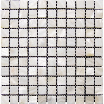 Picture of MiR Mosaic - Shell Clearwater