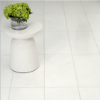 Picture of Daltile - Marble 12 x 24 Polished Thassos Snow White