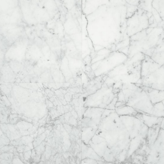 Picture of Daltile - Marble 12 x 24 Honed Carrara Gioia