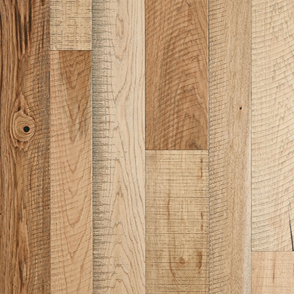 Picture of Palmetto Road - Riviera Menton