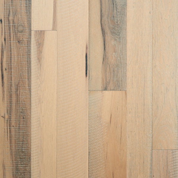 Picture of Palmetto Road - Riviera Promenade