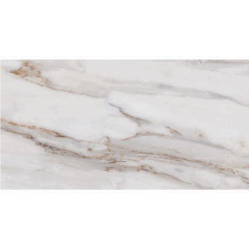 Picture of Roca - Calacatta Gold 12 x 24 Calacatta Gold Polished