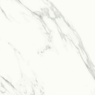 Picture of American Wonder Porcelain - Cipriani 24 x24 Carrara Matte