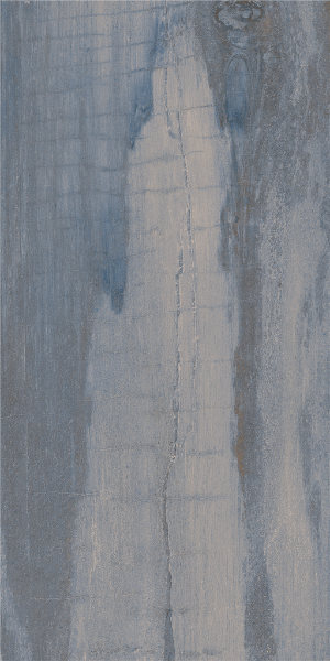 Picture of Happy Floors - Fossil 12 x 24 Blue