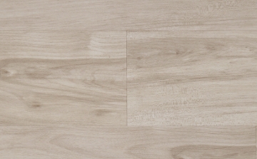 Picture of Audacity - Audacity One Hollis