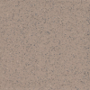 Picture of Emser Tile - E-Quarry Abrasive Fog