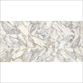 Picture of Daltile - Eclessia 12 x 24 Arabescato Argento Polished
