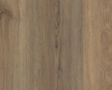 Picture of Shaw Floors - Fortitude Wild Dunes