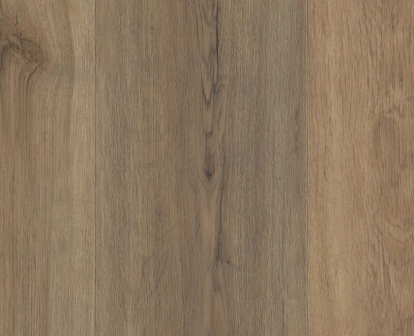 Picture of Shaw Floors - Fortitude Wild Dunes