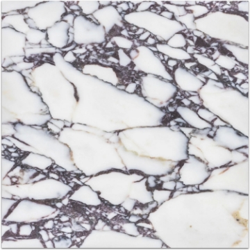 Picture of Elon Tile & Stone - Marble 12 x 12 Bianco Violetta Honed