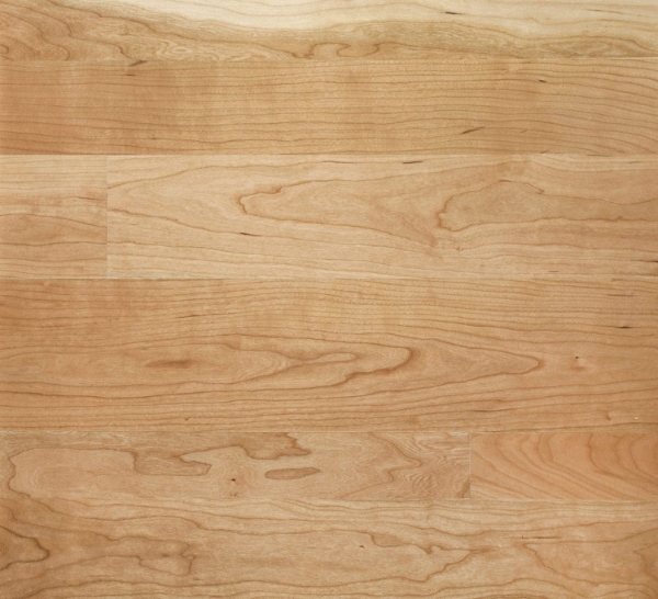 Picture of Sheoga - Clear Smooth 5.25 Cherry Natural