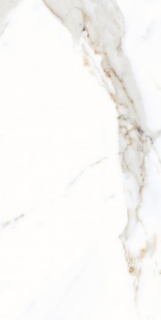 Picture of Elysium - AGL 12 x 24 Matte Apia Orange