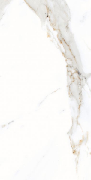 Picture of Elysium - AGL 12 x 24 Matte Apia Orange