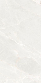 Picture of Elysium - Brasilia 12 x 24 White Polished