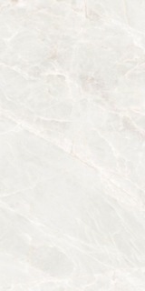 Picture of Elysium - Brasilia 24 x 48 White Polished