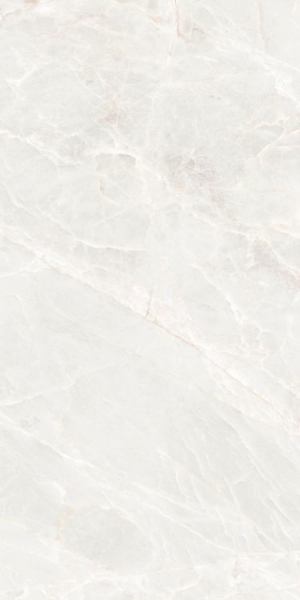 Picture of Elysium - Brasilia 24 x 48 White Polished