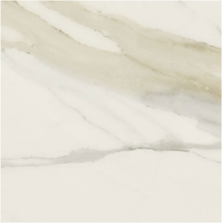 Picture of Elysium - Classici 48 x 48 Calacatta Gold Matte