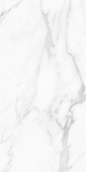 Picture of Elysium - Carenza 24 x 48 Bianca Polished