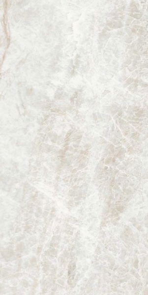 Picture of Elysium - Kraken 12 x 24 Kraken Polished