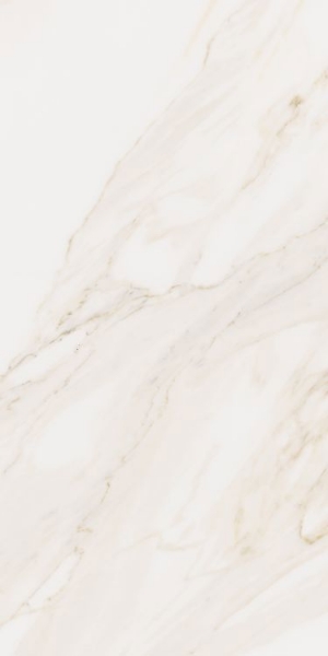 Picture of Elysium - Omnia 12 x 24 Calacatta Matte
