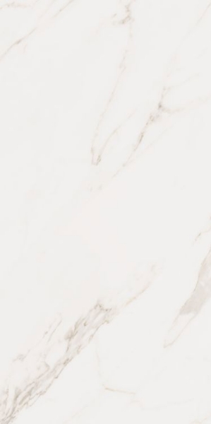 Picture of Elysium - Omnia 24 x 48 Calacatta Matte