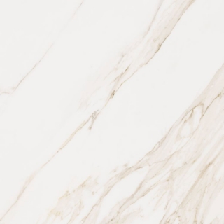 Picture of Elysium - Omnia 48 x 48 Calacatta Matte