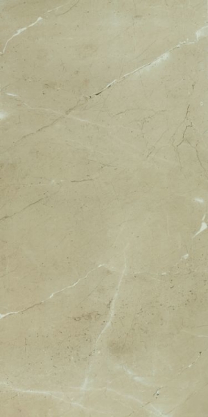 Picture of Elysium - Prestigio 30 x 60 Matte Arcadia Soft