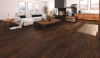 Picture of InHaus - Visions Brazilian Walnut