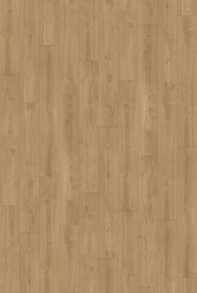 Picture of InHaus - Visions Clarke