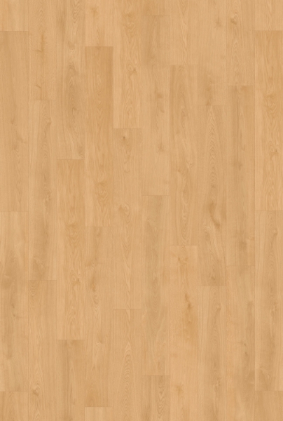 Picture of InHaus - Gallery Seaforth