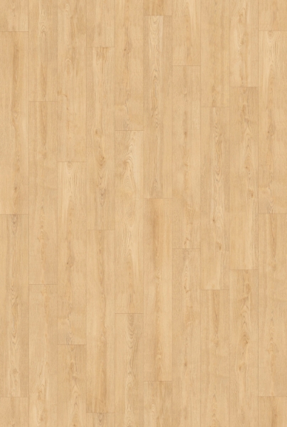 Picture of InHaus - Gallery Norgate