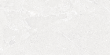 Picture of Roca - Avalon 24 x 48 Blanco