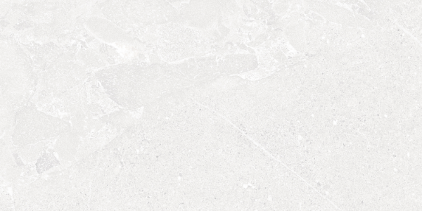 Picture of Roca - Avalon 24 x 48 Blanco