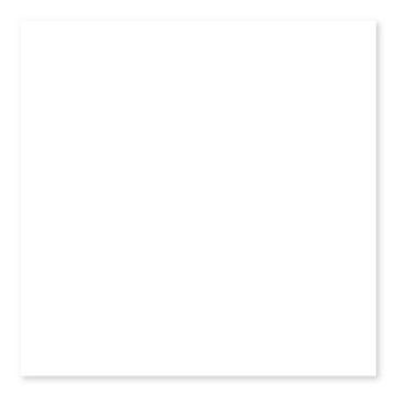 Picture of Roca - Color Collection 10 x 28 White Ice Bright