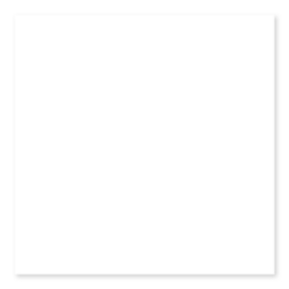 Picture of Roca - Color Collection 13 x 24 White Ice Bright