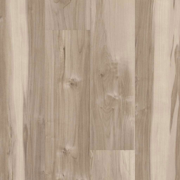 Picture of 5th and Main - Symbiotic 30 Capeview