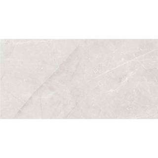 Picture of Roca - Jewels 24 x 48 Etienne Light Gray Polished