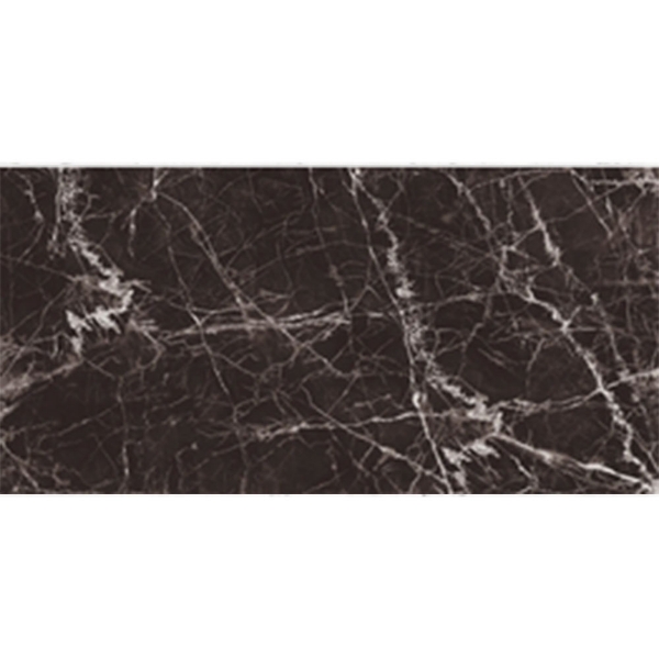 Picture of Roca - Jewels 24 x 48 Maurice Black Polished