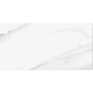 Picture of Roca - Jewels 24 x 48 Vince White Matte