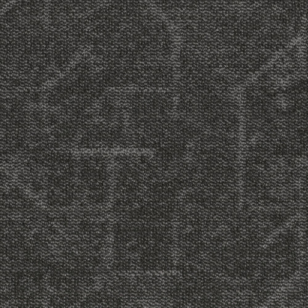 Picture of Shaw Contract - Visualize 24 x 24 Leather