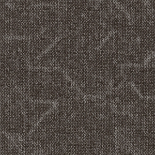 Picture of Shaw Contract - Visualize 24 x 24 Brown