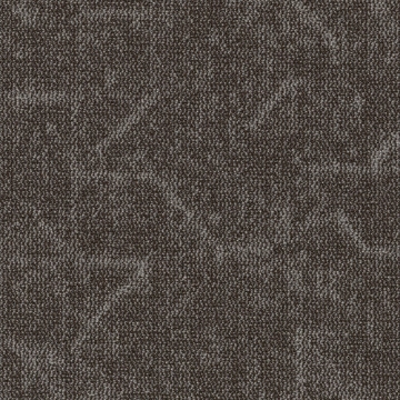 Picture of Shaw Contract - Visualize 24 x 24 Brown