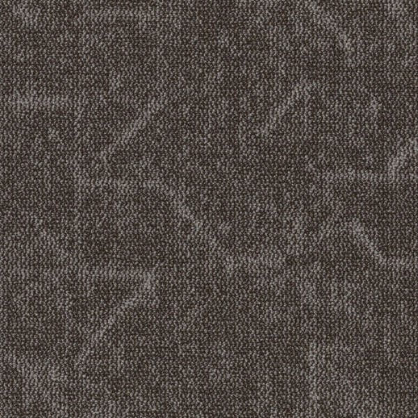 Picture of Shaw Contract - Visualize 24 x 24 Brown