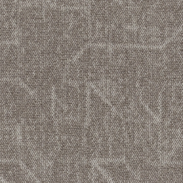 Picture of Shaw Contract - Visualize 24 x 24 Sand