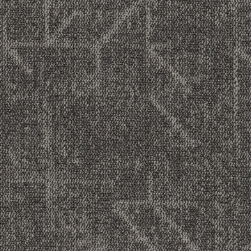 Picture of Shaw Contract - Visualize 24 x 24 Sisal