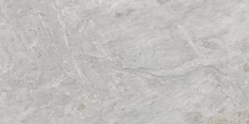 Picture of Emser Tile - Milestone R11 Moon