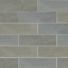 Picture of Emser Tile - Passion 3 x 8 Gris