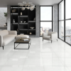 Picture of Emser Tile - Prodigy 24 x 24 Agnesi Polished