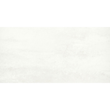 Picture of Emser Tile - Prodigy 24 x 47 Agnesi Matte