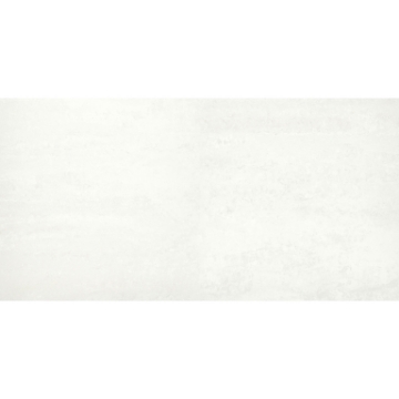 Picture of Emser Tile - Prodigy 24 x 47 Agnesi Polished